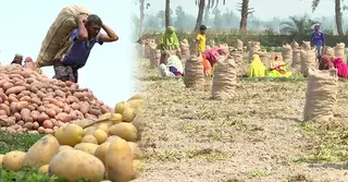 বাজেটে গ্রামীণ অর্থনীতি ও স্বাস্থ্যখাতে বাড়তি গুরুত্ব, বাস্তবায়নের নজর বিশেষজ্ঞদের